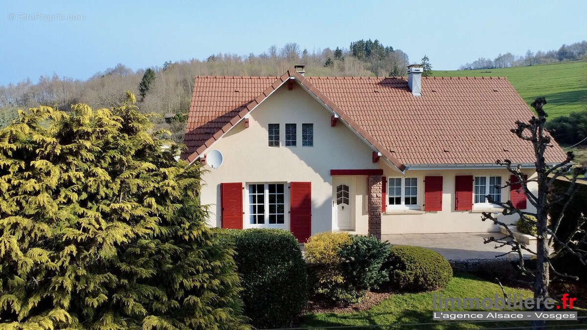 Maison 98 m² à Ban-De-Laveline  - photo 5