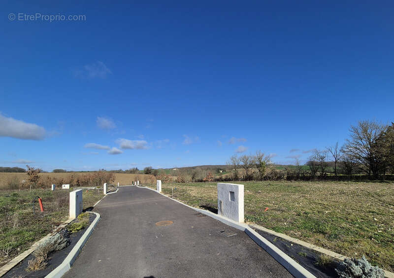 Terrain à LA ROMIEU