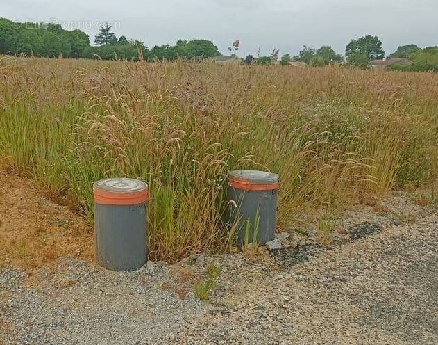 Terrain à SURGERES