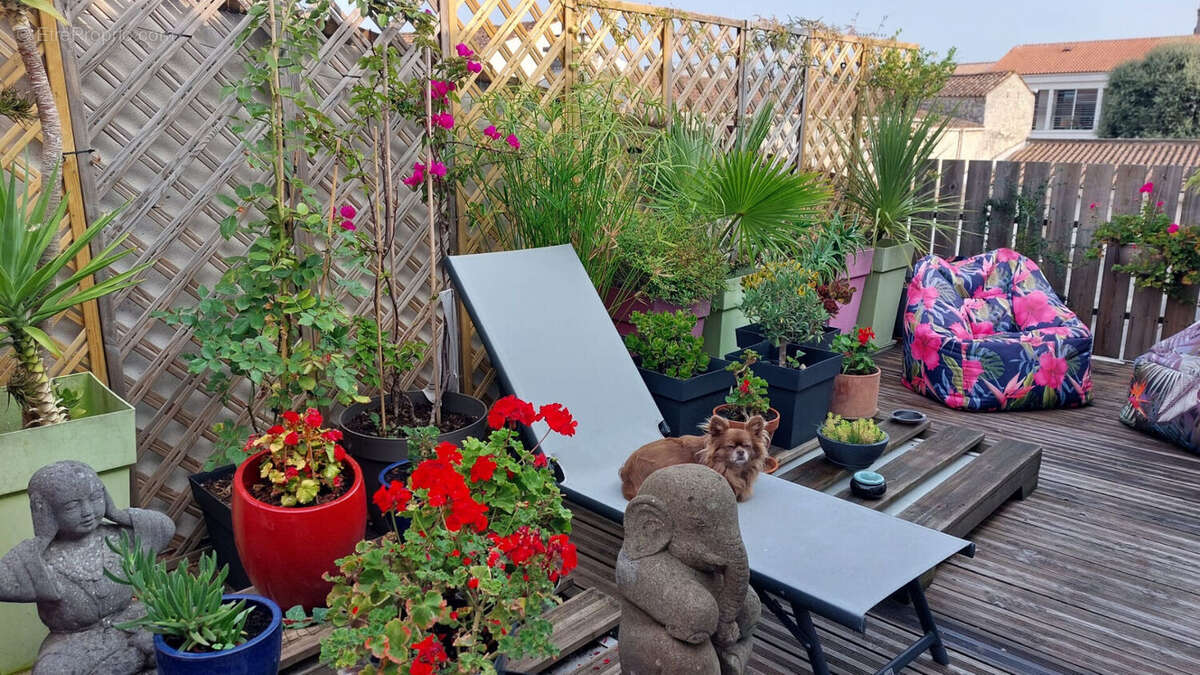 Appartement Saint Pierre d Oleron 3 pièces 51,31 m² (loi Carrez) - photo 9