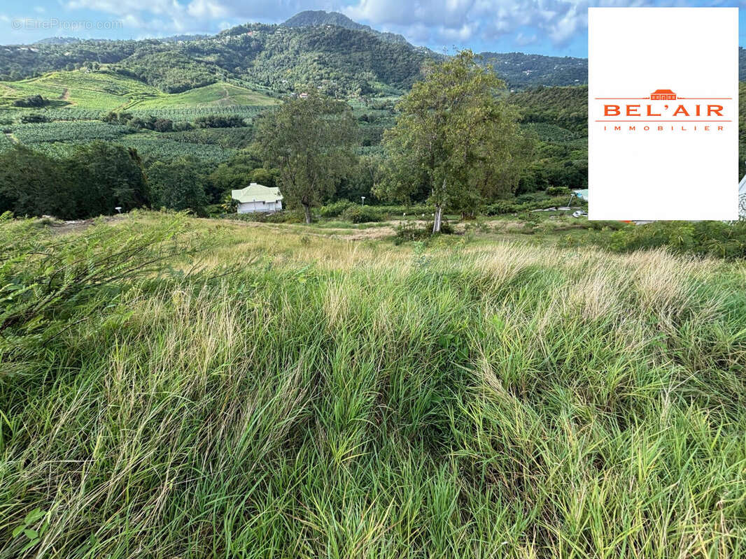 Terrain à LE FRANCOIS