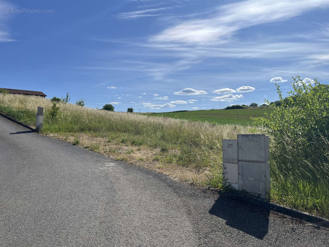 Terrain à SAINT-ALBAIN