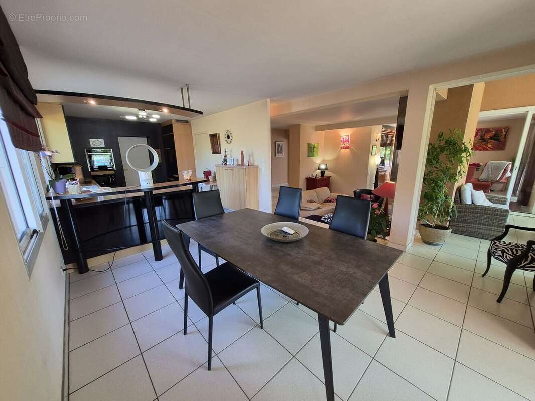 À vendre, Castelnau-Magnoac (Hautes-Pyrénées): Villa d'architecte 4 chambres, espace de vie ouvert, un garage/atelier et une pis - photo 9