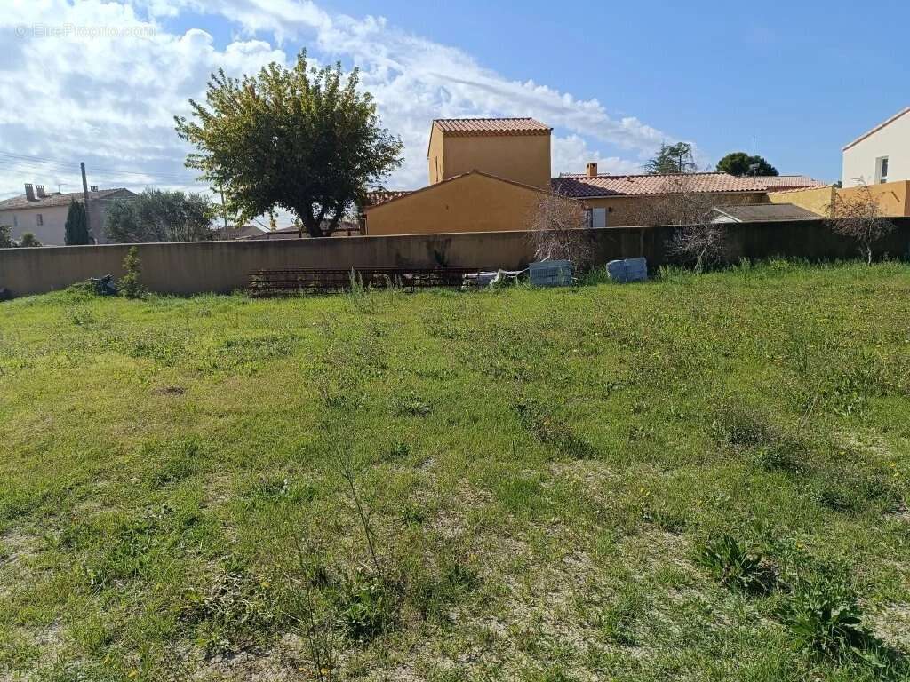 Terrain à COURTHEZON