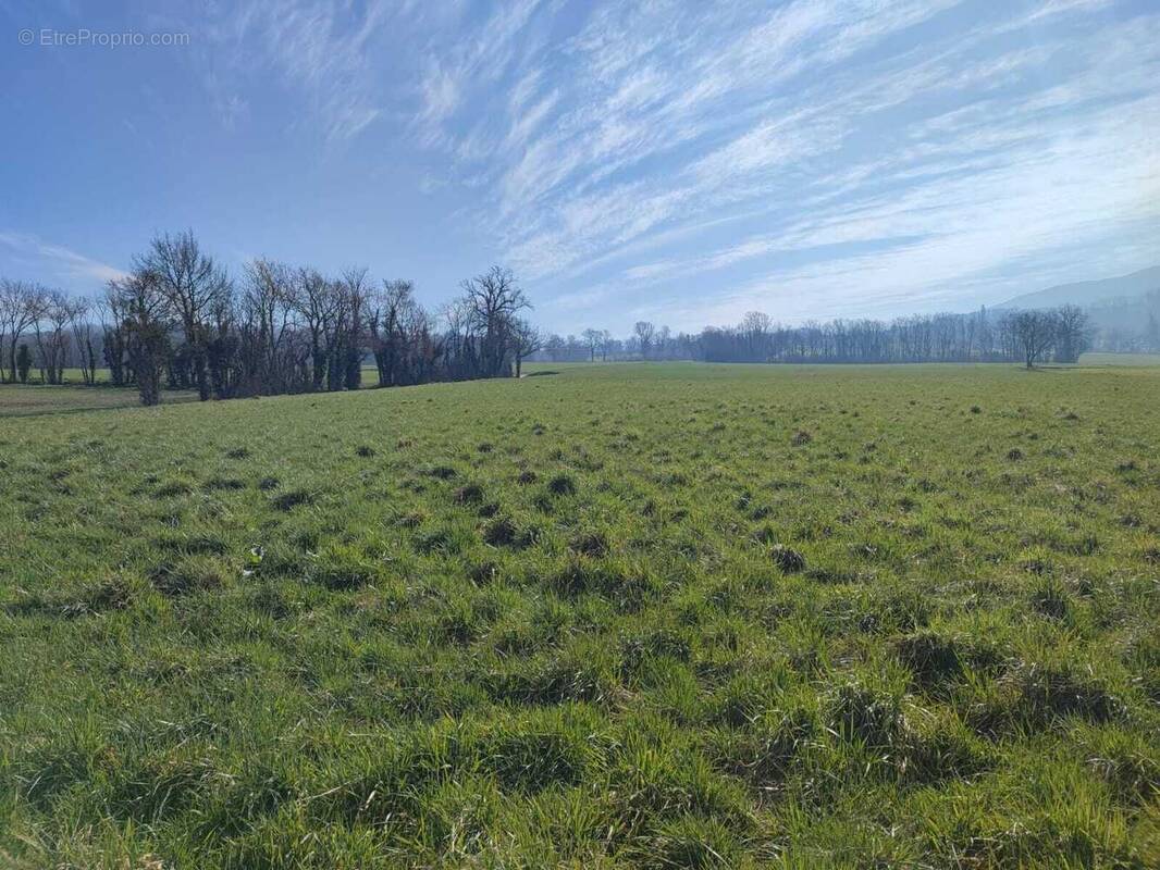 Terrain à VULBENS