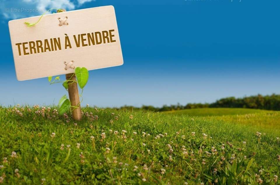 Terrain à BAZOCHES-SUR-GUYONNE