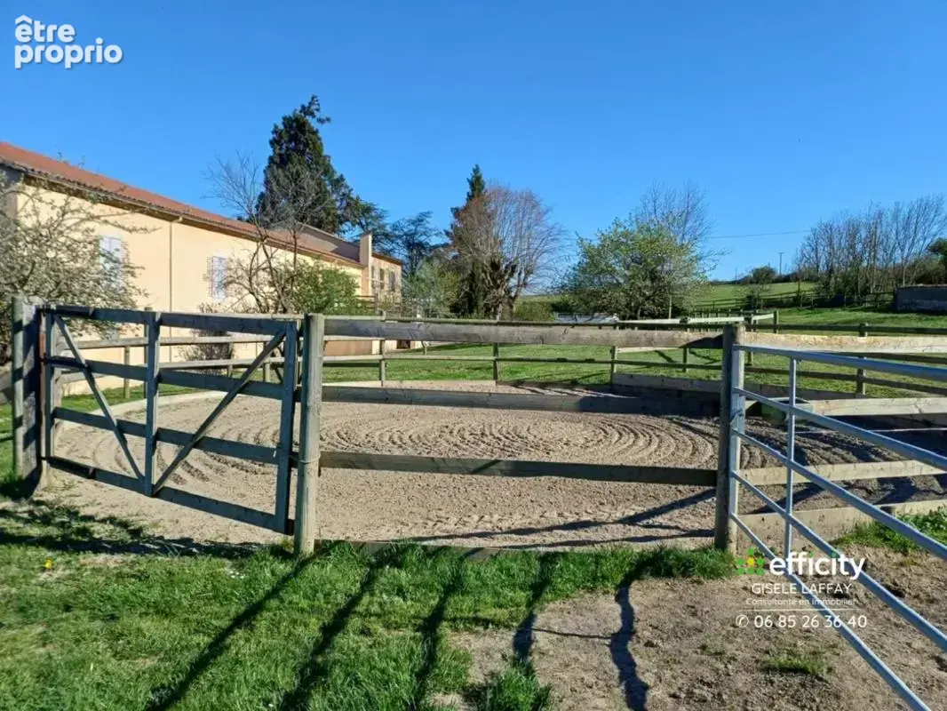 Maison 6 pièces 254 m² à vendre à Montbrison (42600) - photo 6