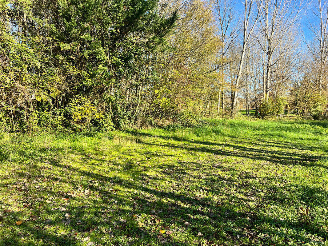 Terrain à VILLEREAL