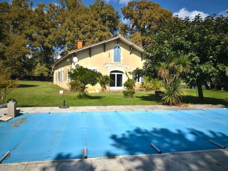 Maison de caractère en pierre 280 m² terrain de 4 hectares - photo 29