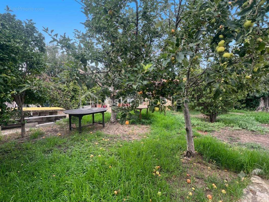 OLLIOULES – FAVEYROLLES - Maison familiale T9 de 160 m² avec annexes, piscine et terrain de 2 000 m² - photo 7
