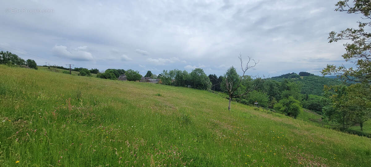 Terrain à ALBIGNAC
