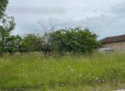 Terrain à BOUTIERS-SAINT-TROJAN