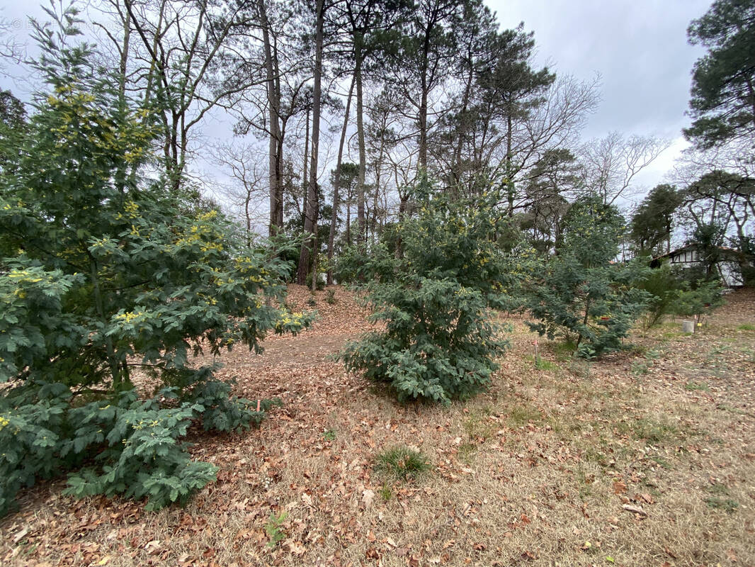 Terrain à CAPBRETON