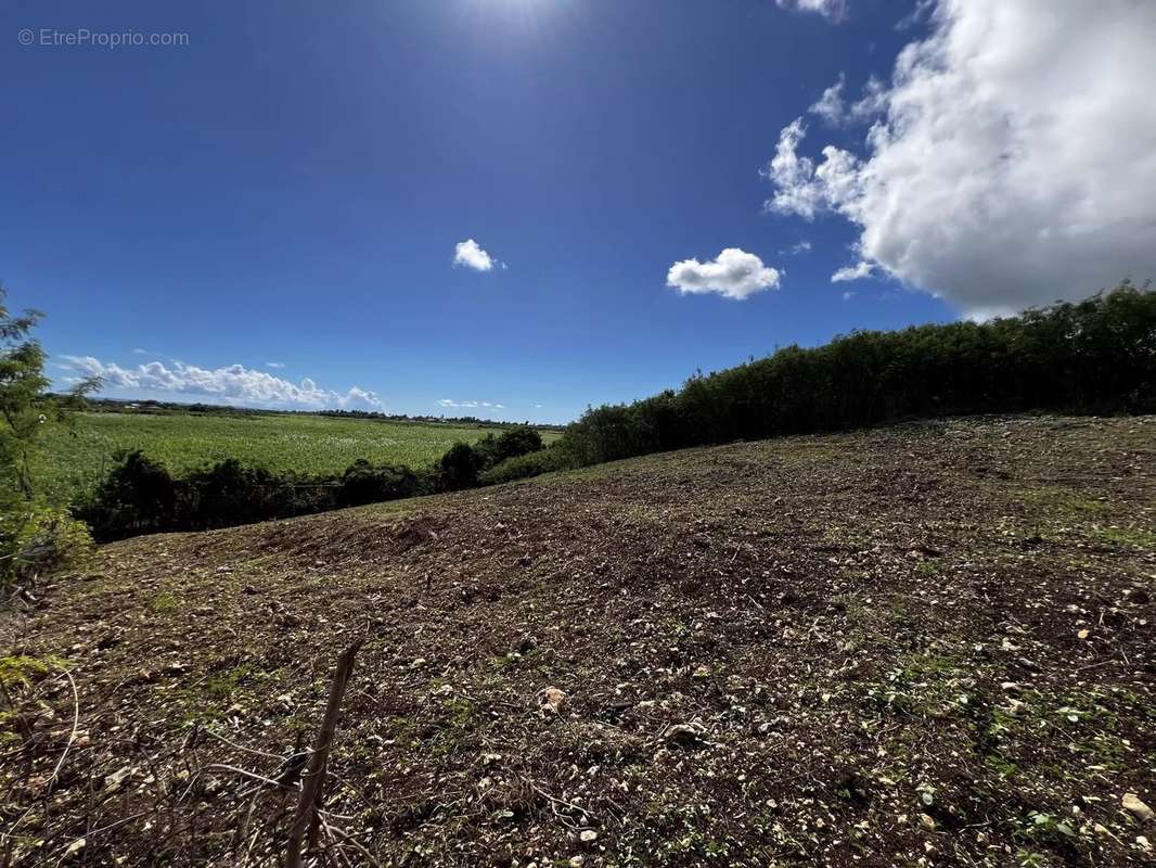 Terrain à SAINT-FRANCOIS