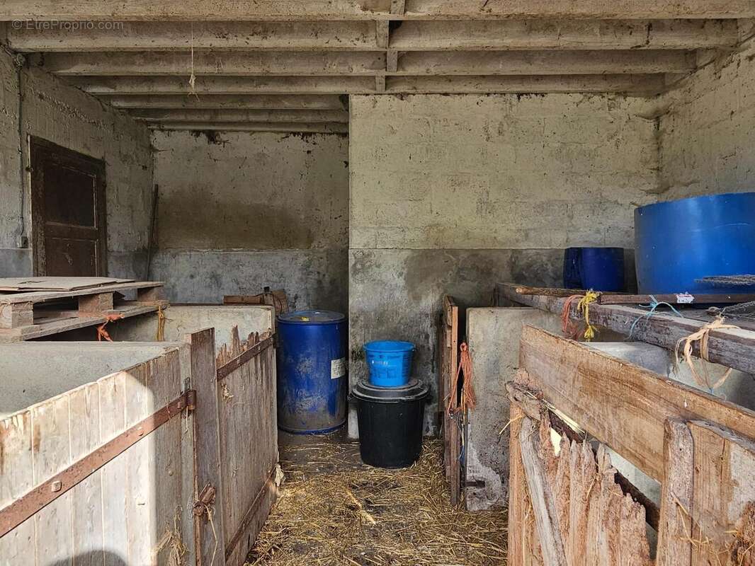 Photo 6 - Maison à MUNEVILLE-LE-BINGARD