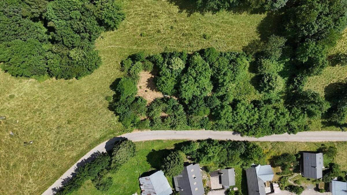 Terrain à OZ