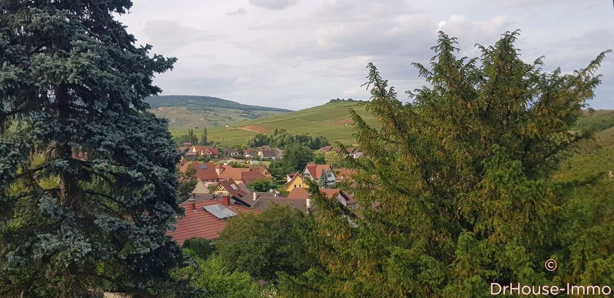 Maison à BERGHOLTZZELL