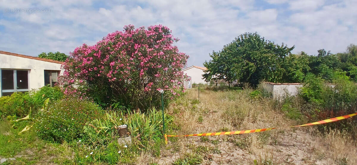 Maison à SAINT-SULPICE-DE-ROYAN