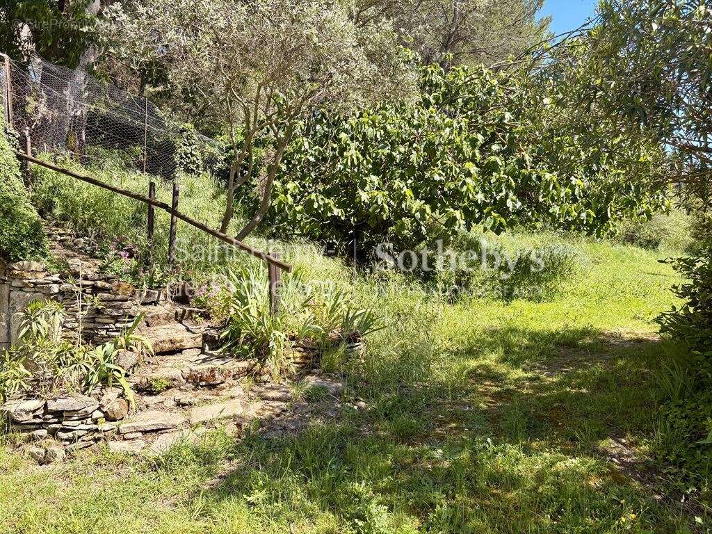 Authentique mas familial au coeur d'un parc de plus de 3 hectares - photo 7