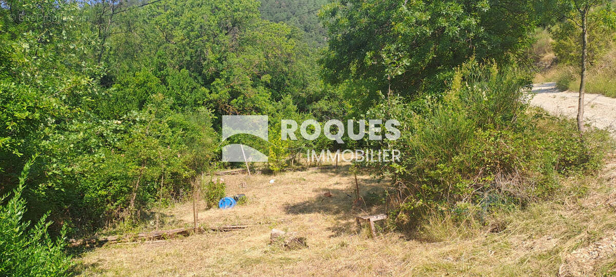 A VENDRE, Proche Lodève, Maison 159 m2 en pleine nature sur 6002 m2 de terrain attenant - photo 31