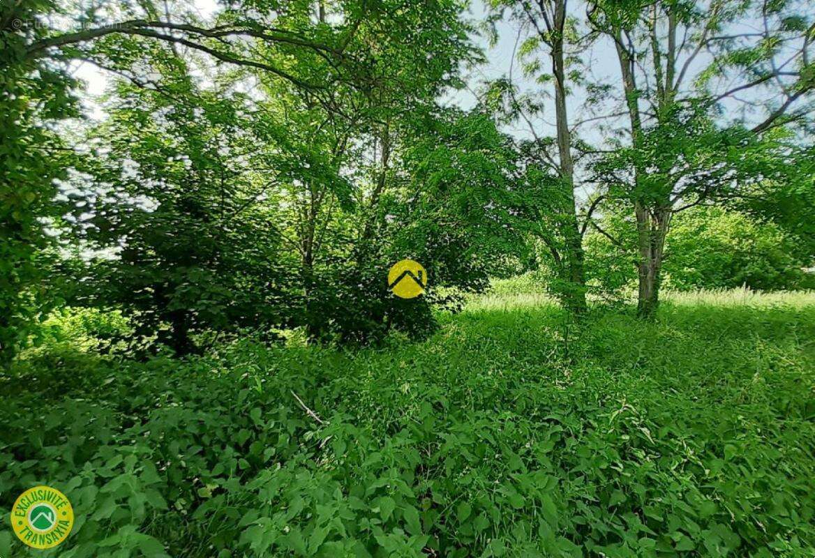 Maison à BUXIERES-LES-MINES