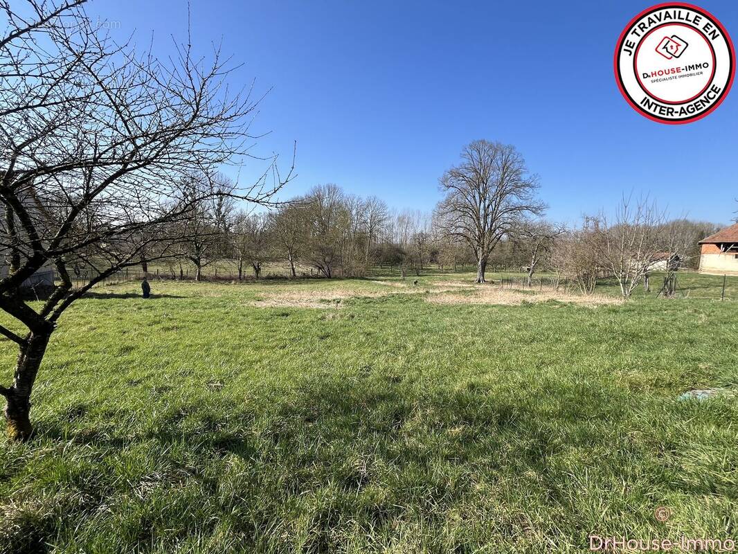 Terrain à SAINT-BENOIT-SUR-SEINE