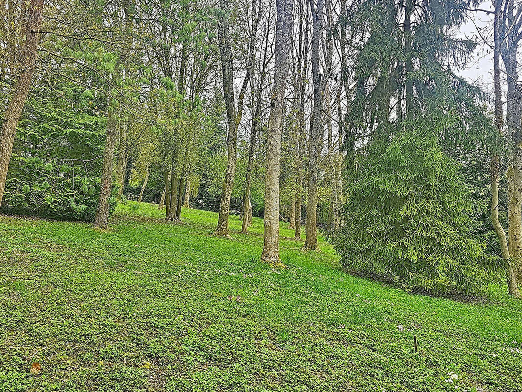 Terrain Villiers-sur-morin 1800 m2 - photo 2