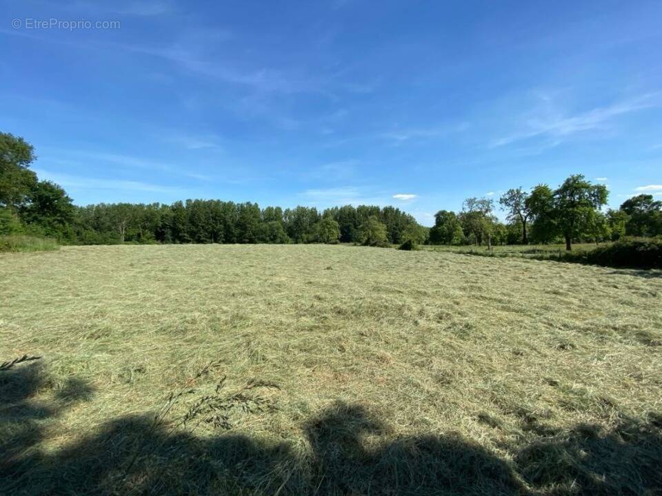 Terrain à SAINT-ANDRE-D'HEBERTOT