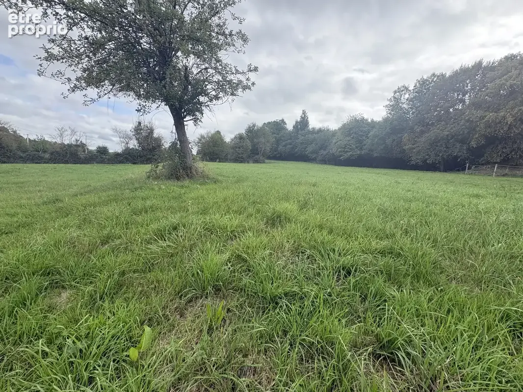 Pavillon de plain pied avec 1 hectare - photo 11
