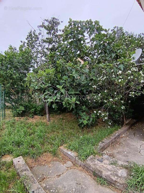 Ensemble immobilier avec appartements / terrasses / jardin / garages reynes 66400 - photo 22