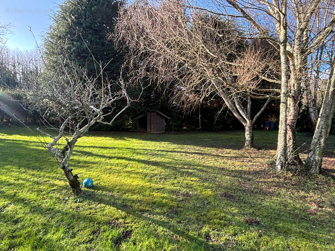 Terrain à MOELAN-SUR-MER