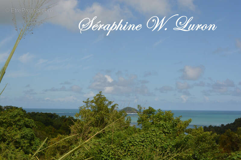 Terrain à LA TRINITE