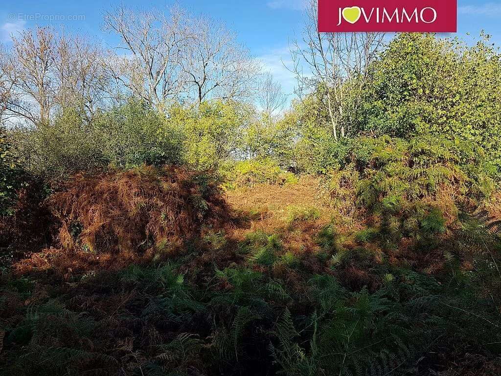 Terrain à NEBOUZAT