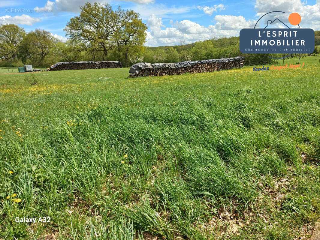 Terrain à GUESSLING-HEMERING