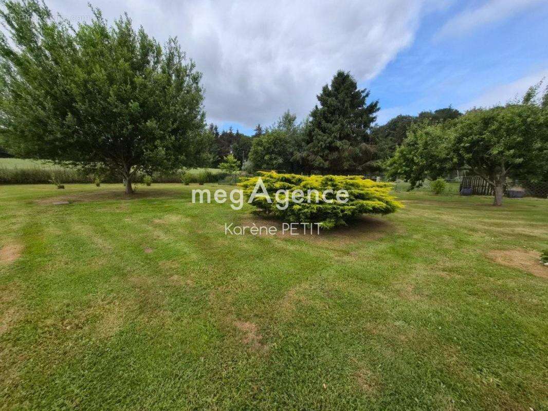 Belle maison : volumes, calme et  terrain arboré ! - photo 2