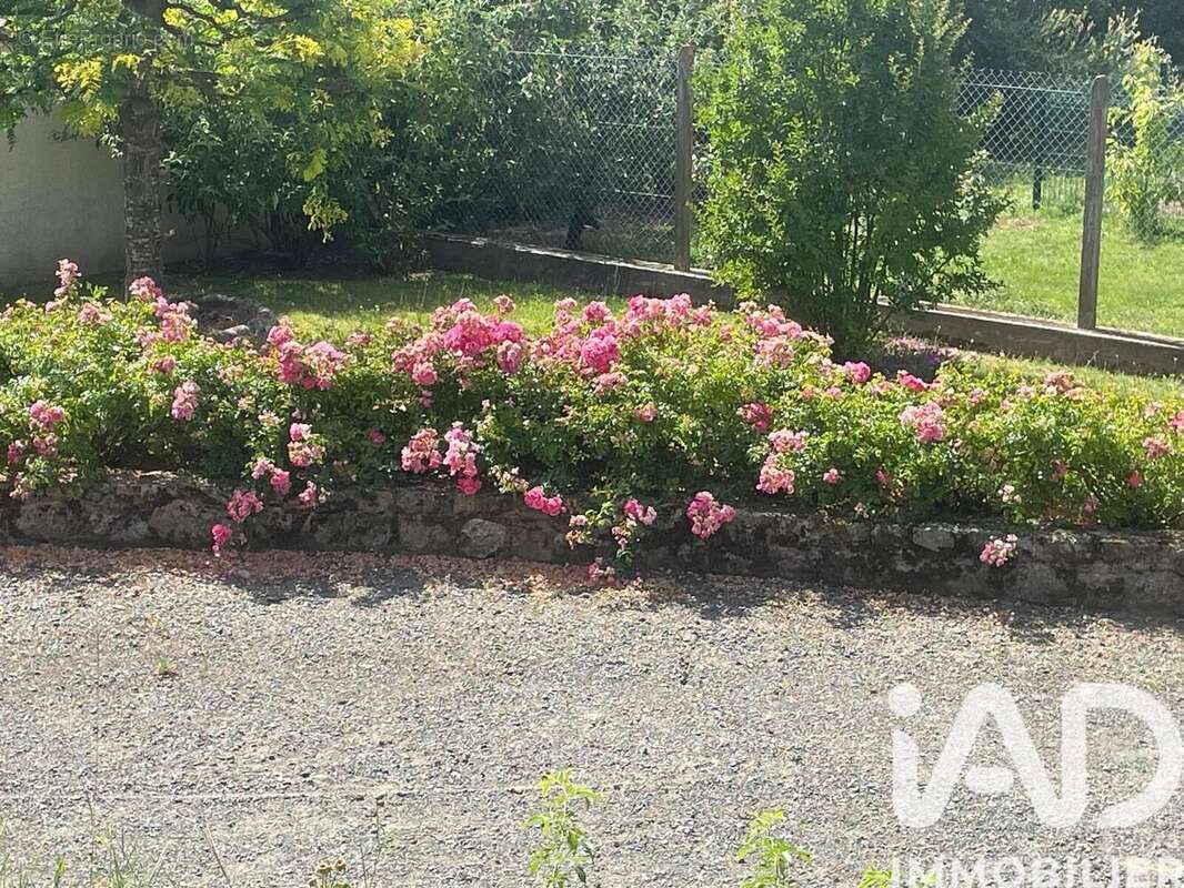 Photo 5 - Maison à FEURS