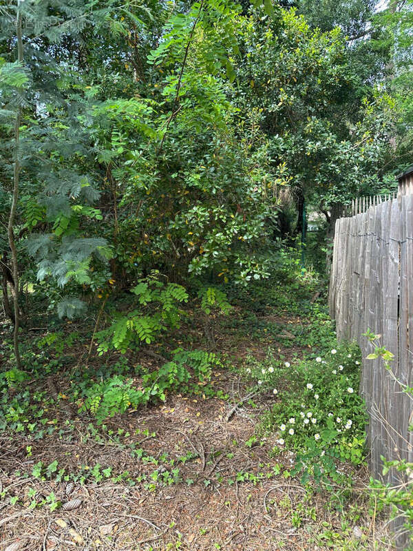 Terrain à LEGE-CAP-FERRET