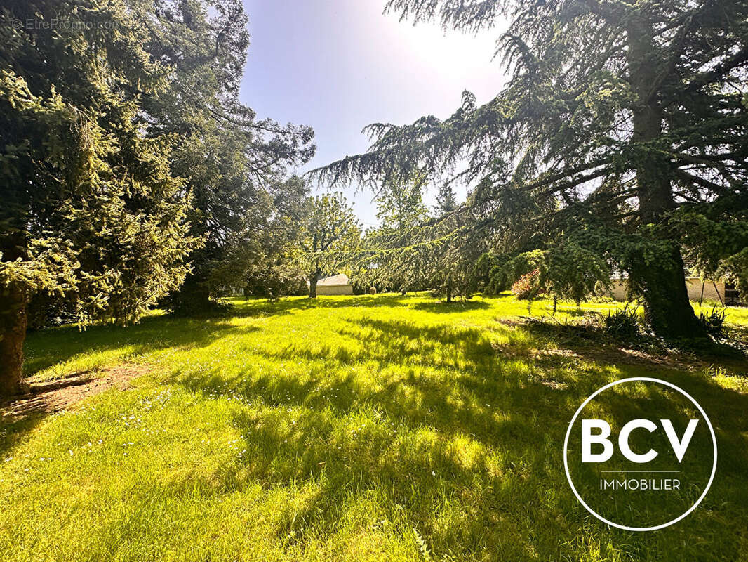 Maison à BAILLEAU-LE-PIN