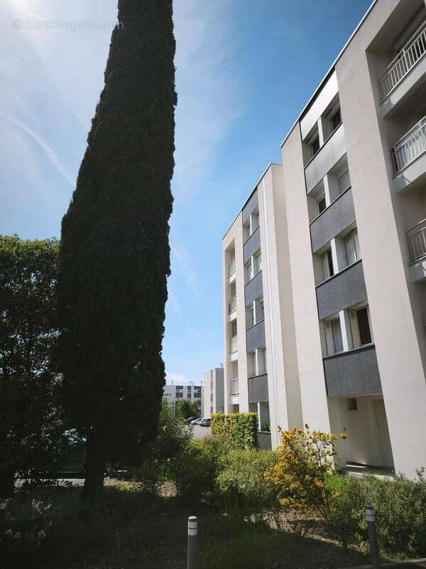 Photo 5 - Appartement à BORDEAUX