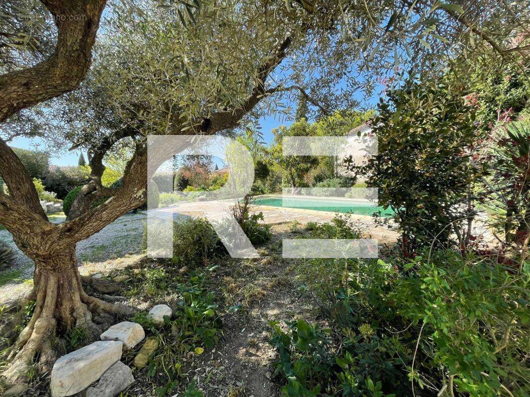 Authentique mas proche uzes - 240 m2 - piscine - photo 10