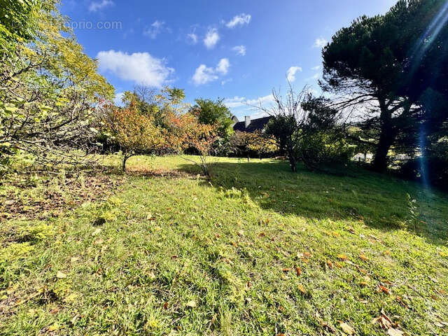 Terrain à PALAISEAU