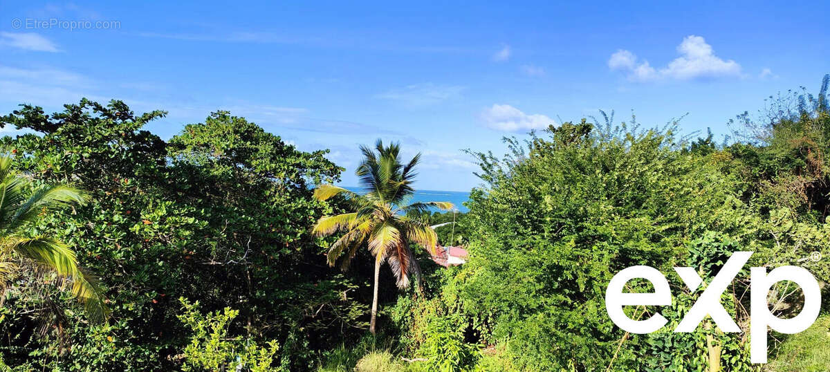 Maison à LE VAUCLIN