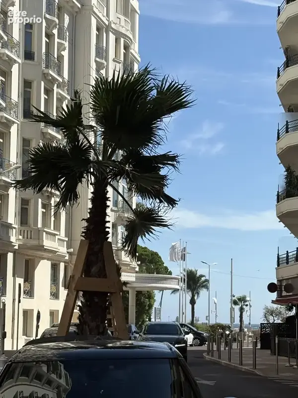 Cannes -banane-a quelques pas de la croisette - charmant 2p+terrasse - photo 3