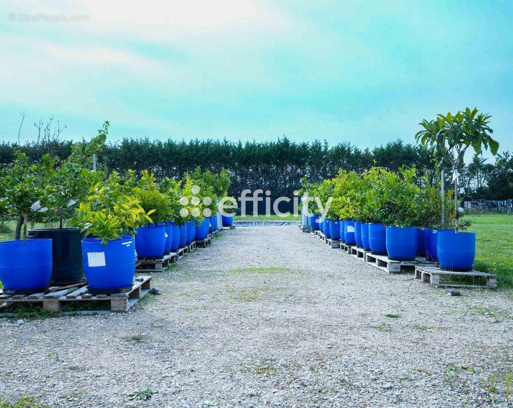 Maison à SAINT-CYR-EN-VAL