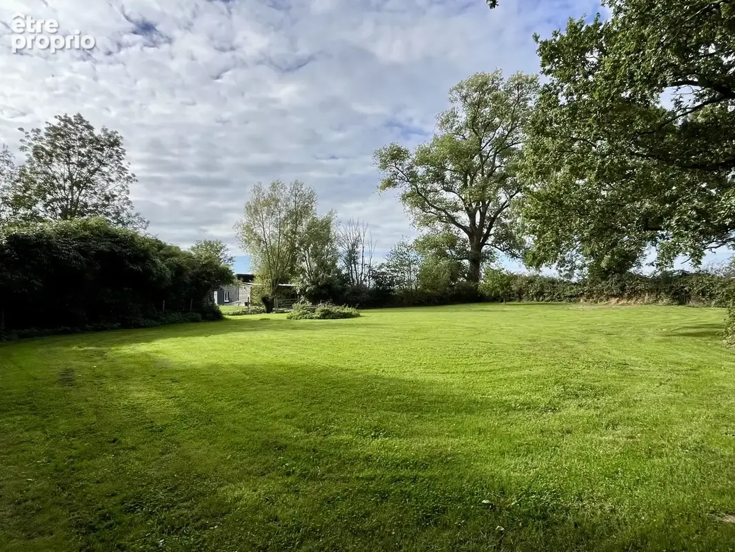 Propriété sur 5 855 m2 - Semi Plain-Pied Bambecque - photo 18