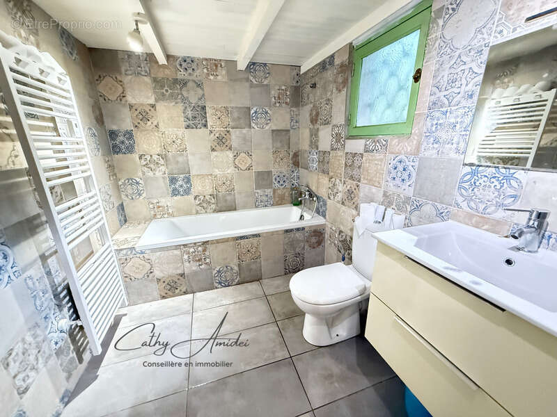 SAGONE (Corse) : Propriete à vendre, maison T4 + dépendance avec 2 appartements T1, sur terrain plat de 5000m2 - photo 13