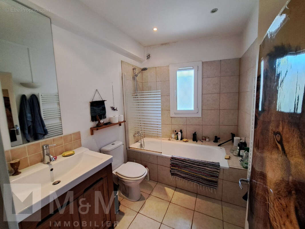 Maison avec terrain 2 ha - photo 11