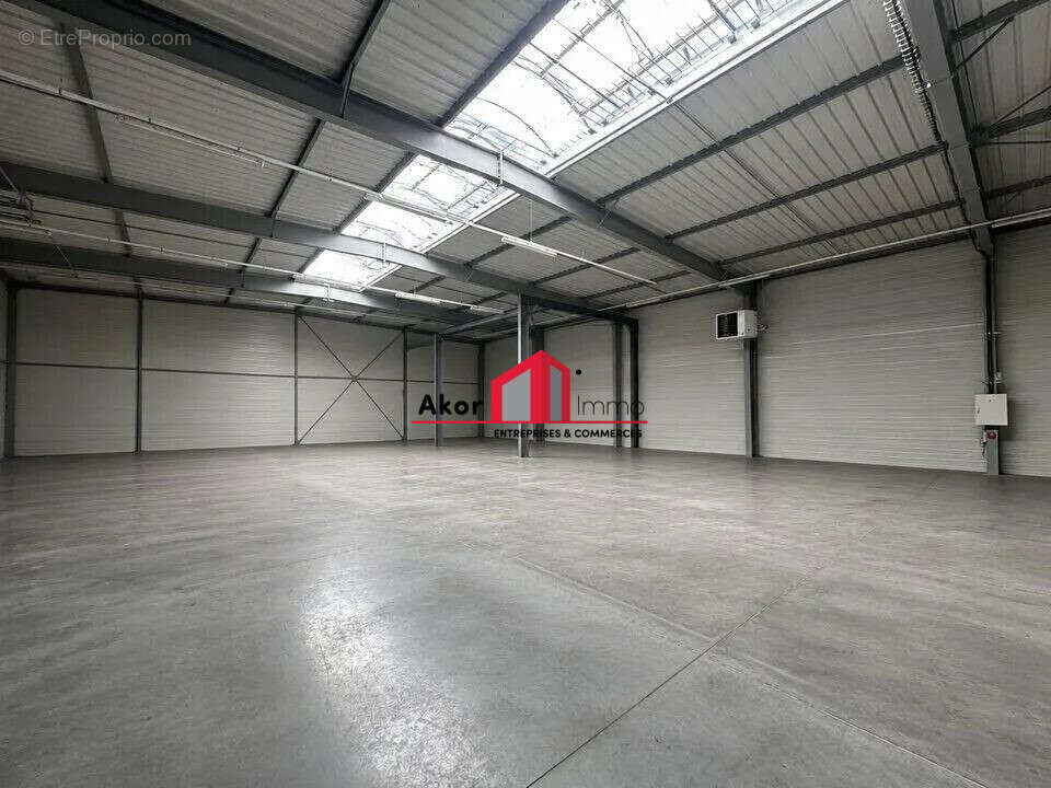 Commerce 982 m² à Moneteau  - photo 5