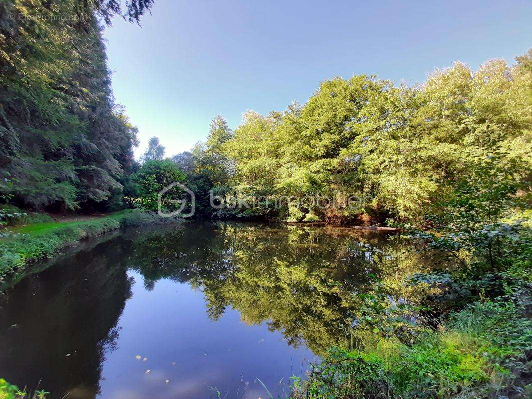 Terrain à COGNAC-LA-FORET