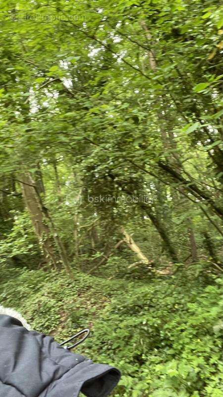 Terrain à ULLY-SAINT-GEORGES